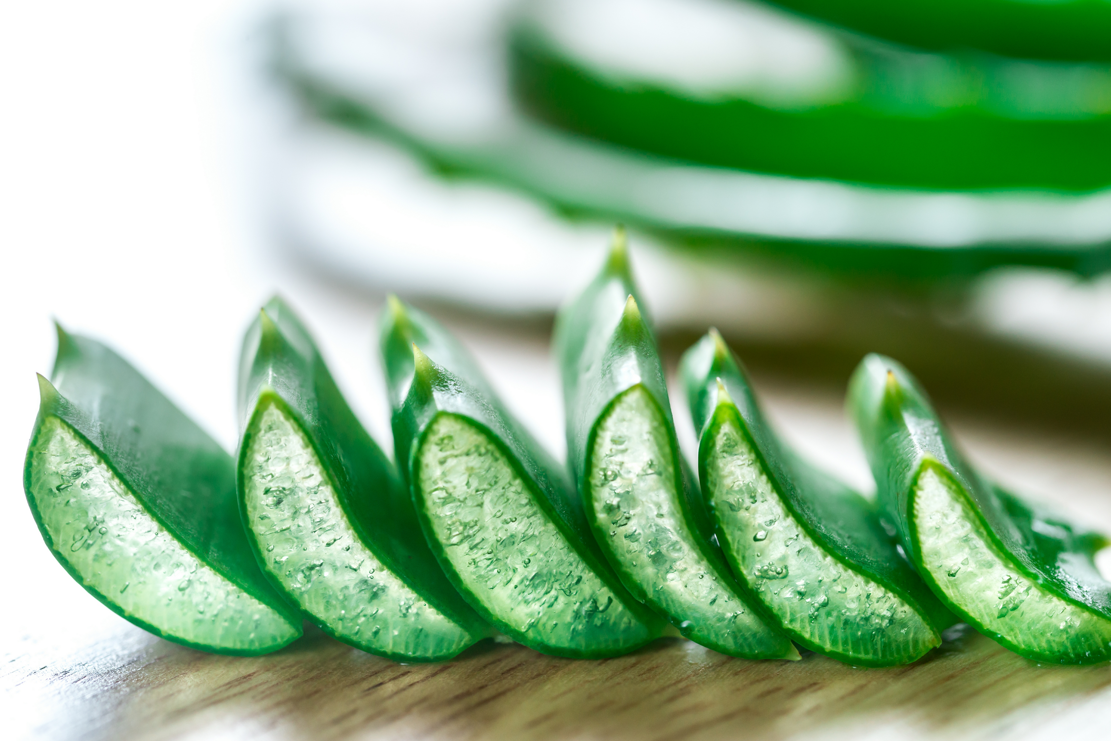 are-you-using-aloe-vera-gel-this-summer-how-to-store-aloe-vera-from-plant